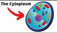 Cytoplasm-The important fluid of the cell