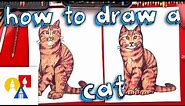 How To Draw A Realistic Cat