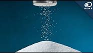 How Much Salt Do Humans Need?