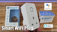 BG Smart WiFi Plug Unboxing and Setup Review | THIS SMART PLUG HAS A KILLER OPTION OTHERS DON'T!