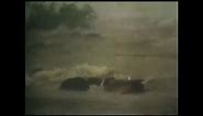 Bhola Cyclone Of 1970