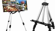 Artist Easel Stand, RRFTOK Metal Tripod Adjustable Easel for Painting Canvases Height from 17 to 66 Inch,Carry Bag for Table-Top/Floor Drawing and Displaying