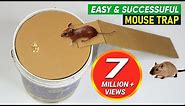 Bucket Mouse Trap | Best Mouse Trap - DIY Homemade mouse trap