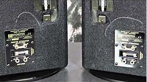 Stereo Design Magnepan Mini-Maggie Speaker System in HD