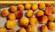 Food Preservation How to Dehydrate Peaches