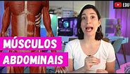 Músculos ABDOMINAIS | Anatomia etc