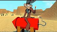 Wile E. Coyote finally wins! | The Coyote Kills The Road Runner