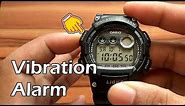 How to Settings + Review Casio W-735H-1AVDF Vibration Alarm Watch