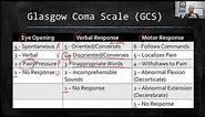 Glasgow Coma Scale (GCS Score): Explained