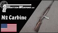 M2 Carbine: Assault Rifle or Submachine Gun?