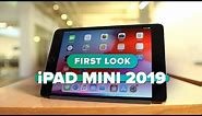 iPad Mini 2019 first look: Who is the new iPad Mini for, exactly?