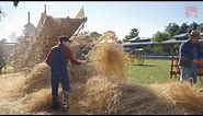 How Farmers Harvested and Threshed Wheat in the 1880s