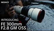 Introducing the Sony FE 300mm F2.8 GM OSS Lens