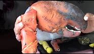 HOW TO OPEN LOBSTER CLAWS