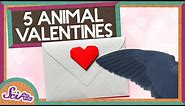 5 Animal Valentines! | Valentine's Day | A SciShow Kids Compilation