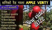 Schnico red Gala variety review । Best Gala Verity for middle elevation | schniga shnico Gala apple