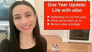 1 Year Update: Life with #aibo, Sony's #AIRobot Dog!