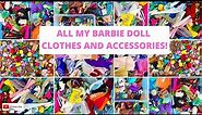 ALL My Barbie Doll Clothes and Accessories! Updated Review. Barbie Doll Videos