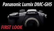 First Look: Panasonic | Lumix DMC-GH5