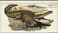 Stomatosuchidae: The Prehistoric "Pancake Crocs"