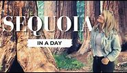 Alone... in Sequoia National Park & 5 RV Scenic Drives