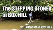 Exploring the Stepping Stones of Box Hill