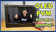 Sony OLED PVM-174! - Is it good for retro gaming?