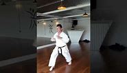 Basic Shukokai karate combinations