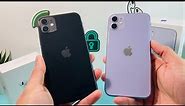 iPhone 11 Black vs Purple Color Comparison