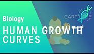 Human growth curves | Physiology | Biology | FuseSchool