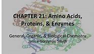 PPT - CHAPTER 21: Amino Acids, Proteins, & Enzymes General, Organic, & Biological Chemistry PowerPoint Presentation - ID:2118335