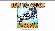How to Color Zebra | Easy Coloring for Kids and Toddlers | Step By Step