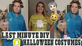 Two Last Minute DIY Halloween Costumes | Crazy Cat Lady + Snapchat | jennryall
