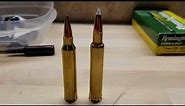 300 Winchester Mag vs 300 Weatherby Mag