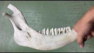 Jawbone Tomahawk