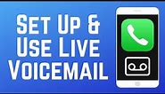 How to Set Up & Use Live Voicemail on iPhone (2024)