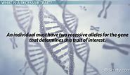 Recessive Trait: Examples | What is a Recessive Gene?
