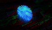 Fingerprint cyber id security and identity symbol digital concept