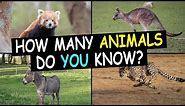 Guess The Animal in 3 Seconds | 100 Random Animals | How Many Animals Do You Know?