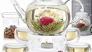 Teabloom Complete Tea Set – Glass Teapot (40 oz), Loose Tea Glass Infuser, 4 Insulated Glass Teacups, Tea Warmer, and 12 Flowering Teas – Elegant Blooming Tea Gift Set