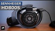 Sennheiser HD 800 S Review - The Critical Take