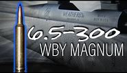 New Weatherby Caliber: 6.5 - 300 Weatherby Magnum! (Review)