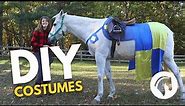 DIY Horse Costumes For Equestrians!