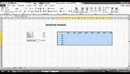 Sensitivity Analysis in Excel