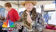 Snake Hunters Descend On Florida For The Python Challenge | NBC News