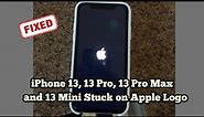 How to Fix iPhone 13, 13 Pro, 13 Pro Max and 13 Mini Stuck on Apple Logo?