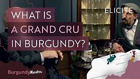 What Is A Burgundy Grand Cru Wine?