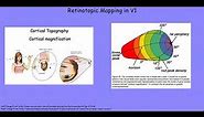 Theories of Mental Representation 1 2 s21