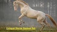 Unique horse names