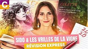 Sido et Les Vrilles de la vigne, Colette : résumé et analyse - Bac de français 2024 !